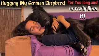 Hugging My German Shepherd for too long and he really likes it!