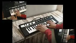 Butterflies - Michael Jakcosn (Cover)