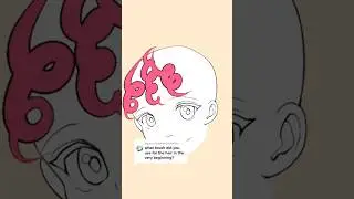 Curly Hair Outline Brush || Clip Studio Asset Store Essential