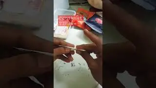 Penikmat Tembakau Tingwe 