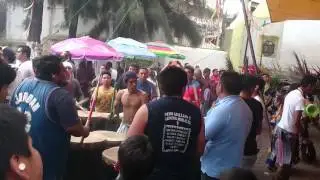 SAN GREGORIO ATLAPULCO XOCHIMILCO 2015