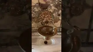 Public Library In New York tiktok ohmygoditskat