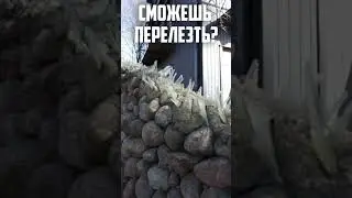 Сможешь перелезть?