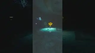 Just cat things 👻 #warframe #warframe1999 #thelotuseaters