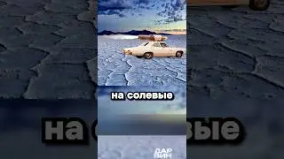 Заводские настройки каждого мужчины: