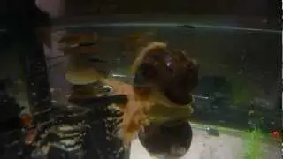 Покатушки на катушке