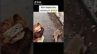 Обезьяна упала) Ржака)