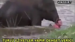 İNSAN İLE HAYVANIN FARKI !!!!!!!!!!!!!