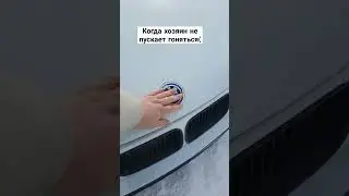 #bmw