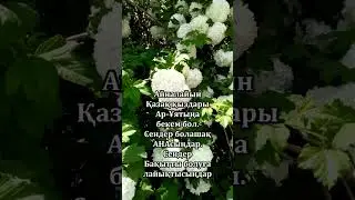 Қазақ қызы АРыңа бекем болғай...