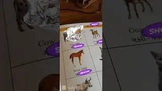 Making Something intresting for kids 
