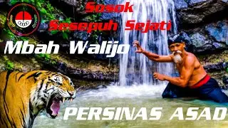 tenacious and tenacious grandfather Walijo pencak silat practicing silat in the wild
