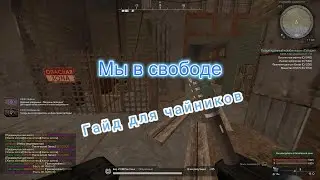 STALCRAFT Как вступить в свободу [гайд для чайников]