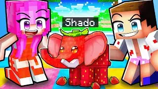 Qui veut adopter Bébé Strawberry Elephant sur Minecraft !