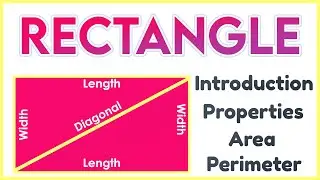 Rectangle Introduction | Area of Rectangle | Perimeter of Rectangle | Properties of Rectangle