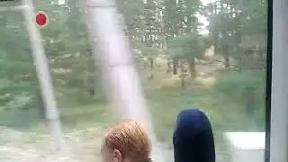 ТОЛЬЯТТИ  САМАРА Ж/Д ППК ЛАСТОЧКА