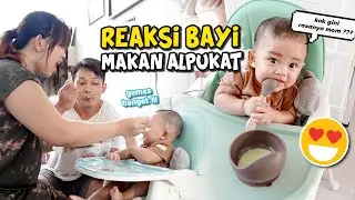 BAYI PERTAMA KALI MAKAN BUAH ALPUKAT | REAKSINYA BIKIN GEMES ❤️