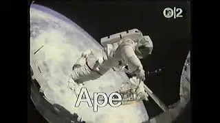 "Ape"