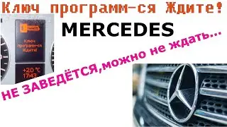 The key is being programmed. WAIT! | The message is on the dashboard, but the Mercedes won't start.