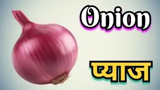 Vegetables Names In English And Hindi With Pictures For Kids : सब्जियों के नाम : #kidssong