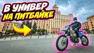 HE BROKE INTO THE UNIVERSITY ON A PIT BIKE // THE TRAFFIC POLICE DRIVED HIM INTO A DEAD END