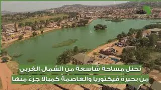 البوجندا.. أقوى الممالك الأفريقية الباقية حتى الآن
