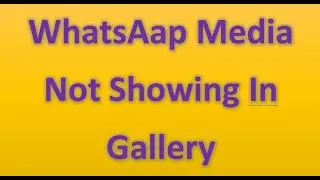 WhatsApp Media Not Showing in Gallery | WhatsApp Folder Missing