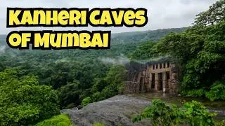 Monsoon Magic inside Sanjay Gandhi National Park at Kanheri Caves | Borivali National Park