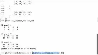 Flatten A PyTorch Tensor - PyTorch Tutorial