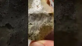 Что это? 