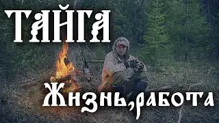 ТАЙГА (жизнь,работа)