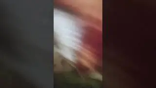 16 мая 2024 г.