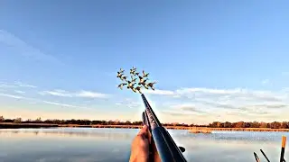 DUCK HUNTING NOVEMBER 2025!!! I'VE NEVER CATCHED SUCH DUCKS!!!