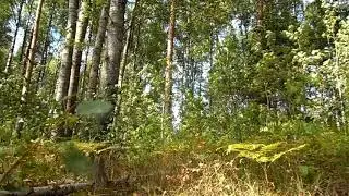 На берегу Озера Ельцинское.