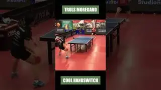 Truls Moregardh COOL HANDSWITCH! #shorts #tabletennis