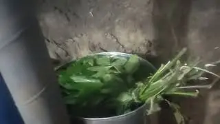 Армейская баня на передке.