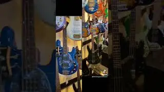 Music Go Round Boston Bass Wall looking tight!