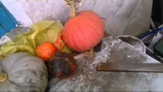 Охотничий нож из кс го .
