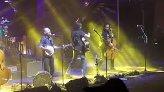 Avett Brothers 