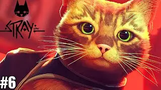 Cutest Game Ever Made🥰 |Stray Gameplay #6