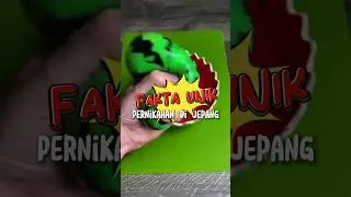 Fakta Unik Pernikahan di Jepang 