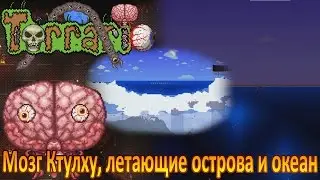 Terraria ДПС #5 | Мозг Ктулху, летающие острова и океан!