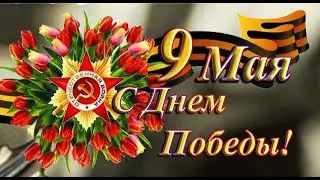 Видео на 9 мая Кузнецова Анастасия