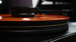 The Vinyl Flat - Is it worth it?
