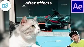 猫看见了摩托车 ZzLAB