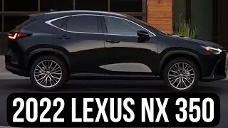 2022 Lexus NX 350 - Specs, Price, New Features!