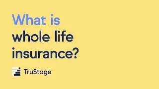What is whole life insurance?