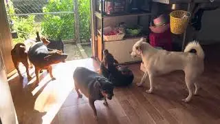 Loa phường chỉ cần phát lên là cả xóm đều biết