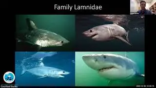 The secret lives of marine top predators: advances in biotelemetry link ecology & physiology