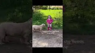 Babygirl Trying To Pee Like Dad | LOL | 